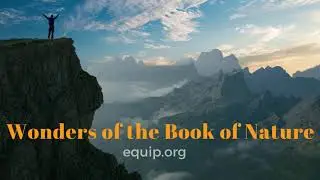 The Wonders of the Book of Nature