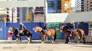 Life in 8K - Protest against police violence in Toronto, Canada on May 30th 2020