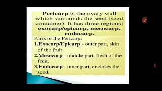F Y  B Sc  Plant Moprhology and Anatomy Fruit   Types of Fruit