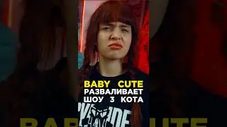 Baby Cute разрывает 3 КОТА шоу с фристайл треком за 5 минут. Сделили хит. Konfuz. Биг Коллаб.