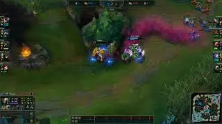 Singed | Strong alchemist support uses the powers of honey and bees to teach a lesson