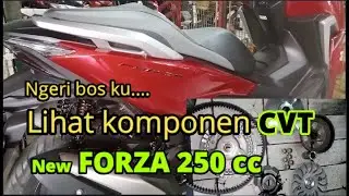 cara bongkar pasang cvt dan servis cvt honda forza 250