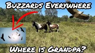 What Is Dead at the JL Ranch?
