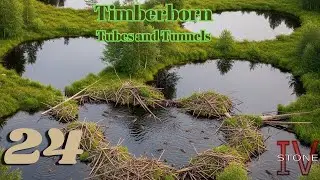 Tunneling for Tubes! | Timberborn 2024