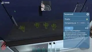 Join us while we are taking care  of fish and working on watch  hours