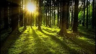 Top 6 Stress Relief Activities for Inner Peace and Balance