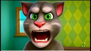 My talking Tom Cat Funny #shorts #shortsfeed #talkingtom #tom #tomshorts #catshorts #livestream