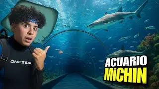 Un d&iacute;a en el Mejor ACUARIO de M&Eacute;XICO 