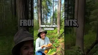 Mastering Wild Food Foraging