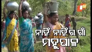 No Roads, Electricity, Education - Story Of Odisha Village
