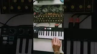 Behringer Wasp Deluxe demo - no talking. #behringer #wasp #ph911 #demo #notalking