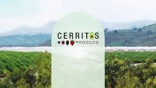 Grupo Aguacatero Los Cerritos