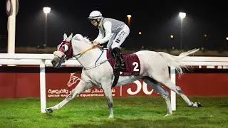 RM 19   Al Uqda Race 6  - Lusail Cup