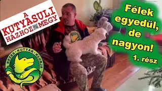 Félek egyedül, de nagyon! 1. rész
