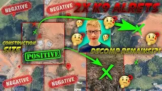 HOW MANY SIGNS ARE ENOUGH? K9s Detect Human Decomp in Sebastian Rogers Case (HUGE 🚩🚩)