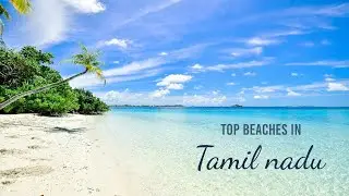 Top 5 beaches in Tamil Nadu Indian Panorama| #shortvideo #recommended