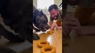He Ate The Whole SAUCE CUP! 🤯🧅 #Shorts  #foodchallenge #dog