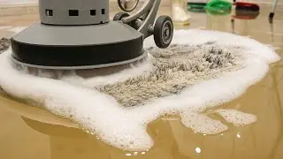 This Rug Was DESTROYED&hellip; But It Came Back to Life! SatisfyingASMR Carpet Cleaning.