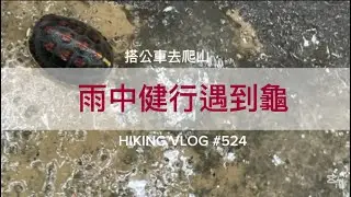 台北士林｜搭公車去爬山｜雨天健行行程｜聖人瀑布-天溪園-雙溪溝古道-梅花山-五指山古道-圓覺瀑布-碧山巖-忠勇山-金面山步道-劍南山-婆婆橋步道-故宮博物院