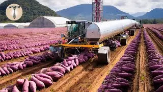 20 Fruit Processing Machines You Must Not Miss on the Farm | Greatly Improve Production Efficiency!