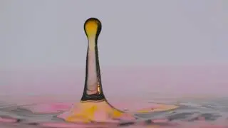 [Slow Motion] Rain Stock Footage | No Copyright Video | Royalty Free