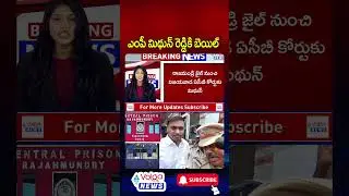 ఎంపీ మిథున్ రెడ్డికి బెయిల్ #mithunreddy #apliquorscam #latest #volganews