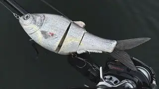 Deadringer // DOUBLE DIGIT Bass & Big Swimbaits