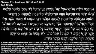 Torah Sh'mini T1 - Leviticus 10:1-3, 4-7, 8-11