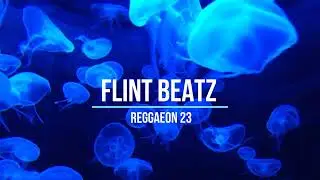 Freestyle Type Beat - Reggaeon 23 [prod. by Flint beatz] Bob Marley