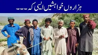 Problems of Tribal areas in Pakistan | Koh-e-Sulaiman | Dajal , Jampur Rajanpur