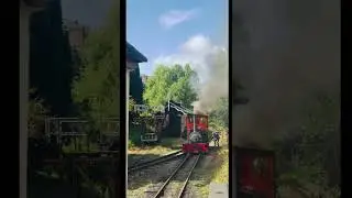 Launceston Steam train