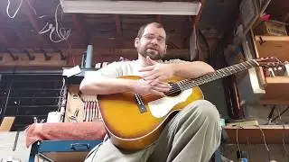 Silvertone Flat Top Demo