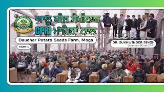 How Aeroponic Potato Seeds Are Changing Indian Farming | Divine Biotech Seed.