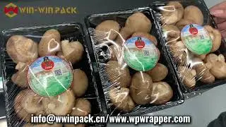 WIN WIN PACK Mushroom Packing Machines | Fast, Efficient & Multifunctional #foodwrappingmachine