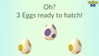 Hatching 10km eggs in pokemon go