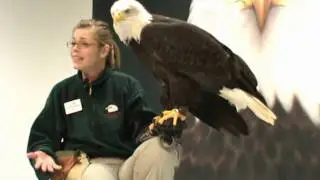 Alaska Raptor Center