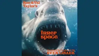 Inner Space