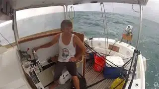 Sailing Black Dog Preview