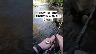 First cast magic! #TroutFishing #FlyFishing #FishingLife #CatchAndRelease #FishingTips #TroutStream