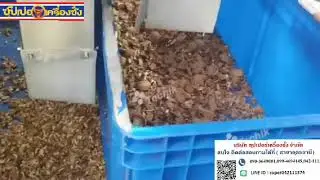 Techik color sorter for walnut shell and kernel sorting