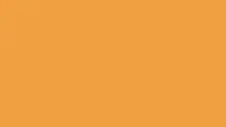 Yang Cheng Orange   Ambient Color Screen 10 Hours