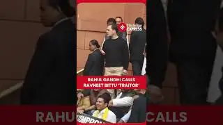 Rahul Gandhi, Ravneet Bittu Clash During Heated Parliament Protest