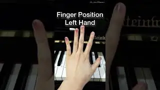 Play Scale: Finger Position for Left Hand  #shorts