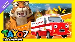 Tayo S7 E16 ~ 26 | &iexcl;Disfr&uacute;talos todos a la vez! | Tayo Serie 7 Episodio | Tayo el peque&ntilde;o Autob&uacute;s