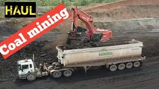 coal hauling truck || Indonesian coal