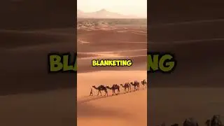 Sahara Desert was Once Covered in Snow