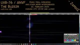 [UVB-76, The Buzzer] Screaming and other interferences; 22. Feb 2020