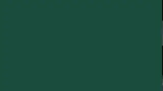 Brunswick Green Screen &ndash; Deep Rich Green Background &ndash; 1 Hour in Full HD