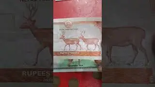 #NEPAL#COINS#CURRENCY#SALES#RAJESH#COLLECTION#6374235157#