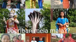 Visiting place Mohamaya temple bogribari assam ( Bogribari Mondir au dandise)